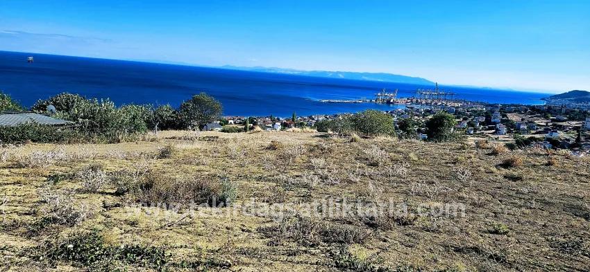 Land For sale in Barbaros Nbh. Süleymanpaşa Kumbağ - Housing Zoned - 2.780 m²