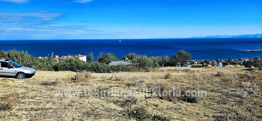 Land For sale in Barbaros Nbh. Süleymanpaşa Kumbağ - Housing Zoned - 2.780 m²