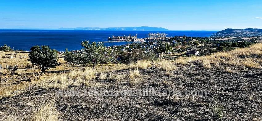 Land For sale in Barbaros Nbh. Süleymanpaşa Kumbağ - Housing Zoned - 530 m²