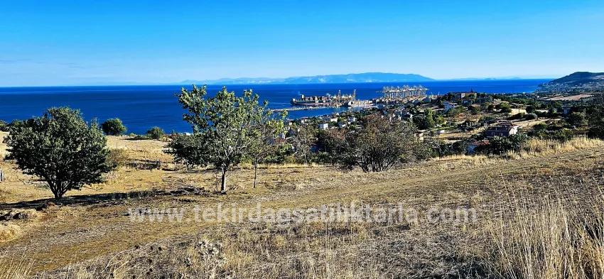 Land For sale in Barbaros Nbh. Süleymanpaşa Kumbağ - Housing Zoned - 530 m²