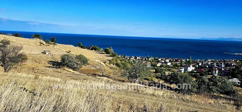 Land For sale in Barbaros Nbh. Süleymanpaşa Kumbağ - Housing Zoned - 530 m²
