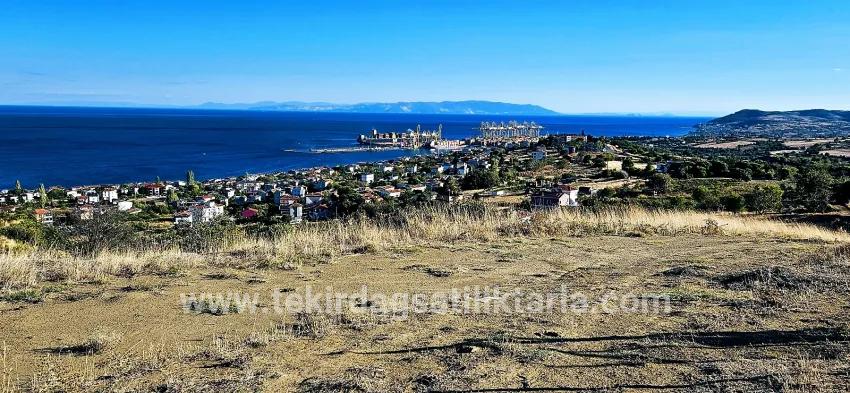 Land For sale in Barbaros Nbh. Süleymanpaşa Kumbağ - Housing Zoned - 530 m²