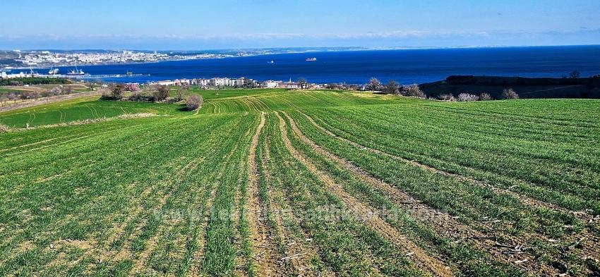 Terrain For sale in Barbaros Nbh. Süleymanpaşa Kumbağ - Housing Zoned - 19.533 m²