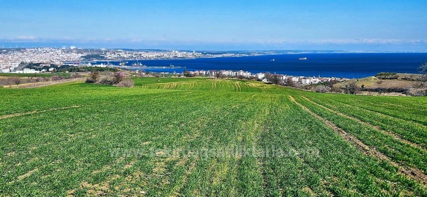 Land With Full Sea And Nature View Suitable For 75 Villa Projects In Tekirdağ Barbarosta
