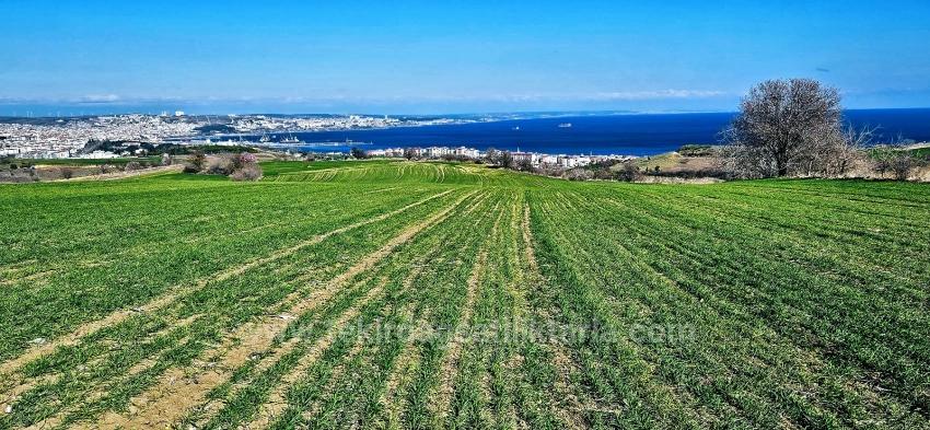Land With Full Sea And Nature View Suitable For 75 Villa Projects In Tekirdağ Barbarosta