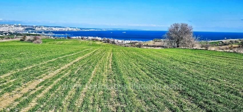 Land With Full Sea And Nature View Suitable For 75 Villa Projects In Tekirdağ Barbarosta