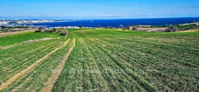 Land With Full Sea And Nature View Suitable For 75 Villa Projects In Tekirdağ Barbarosta