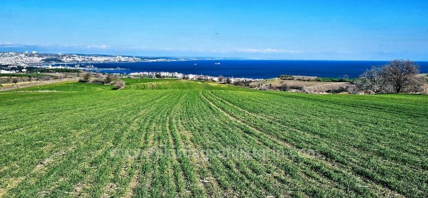 Land With Full Sea And Nature View Suitable For 75 Villa Projects In Tekirdağ Barbarosta