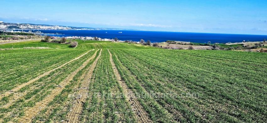 Land With Full Sea And Nature View Suitable For 75 Villa Projects In Tekirdağ Barbarosta