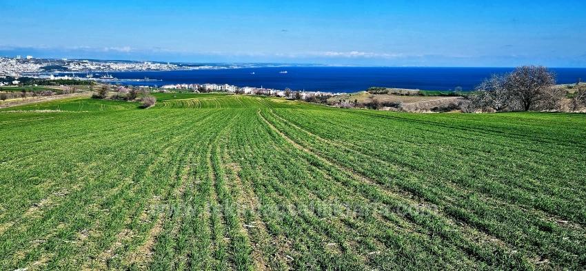 Terrain For sale in Barbaros Nbh. Süleymanpaşa Kumbağ - Housing Zoned - 19.533 m²