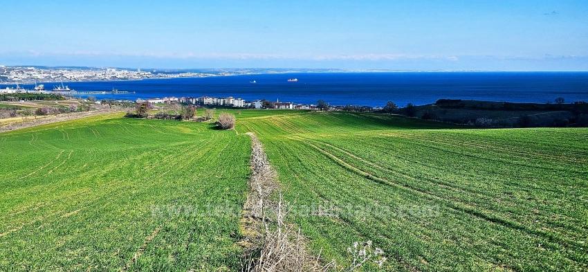 Terrain For sale in Barbaros Nbh. Süleymanpaşa Kumbağ - Housing Zoned - 19.533 m²