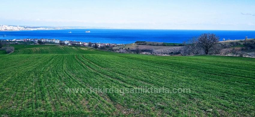 Land With Full Sea And Nature View Suitable For 75 Villa Projects In Tekirdağ Barbarosta