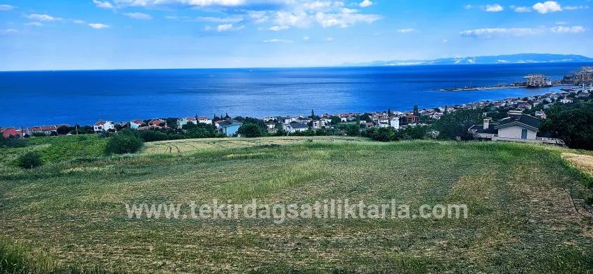 Terrain For sale in Barbaros Nbh. Süleymanpaşa Kumbağ - Housing Zoned - 6.100 m²