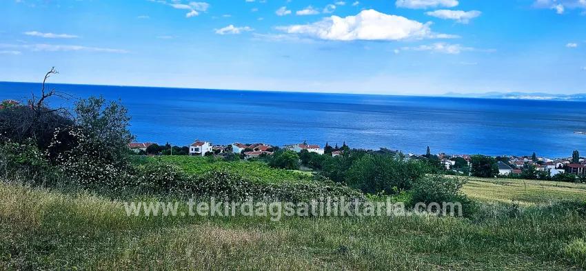 Terrain For sale in Barbaros Nbh. Süleymanpaşa Kumbağ - Housing Zoned - 6.100 m²