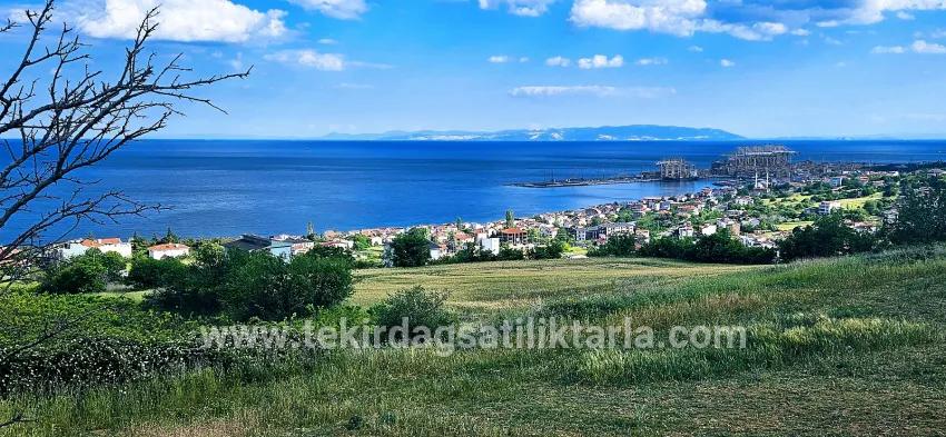 Terrain For sale in Barbaros Nbh. Süleymanpaşa Kumbağ - Housing Zoned - 6.100 m²