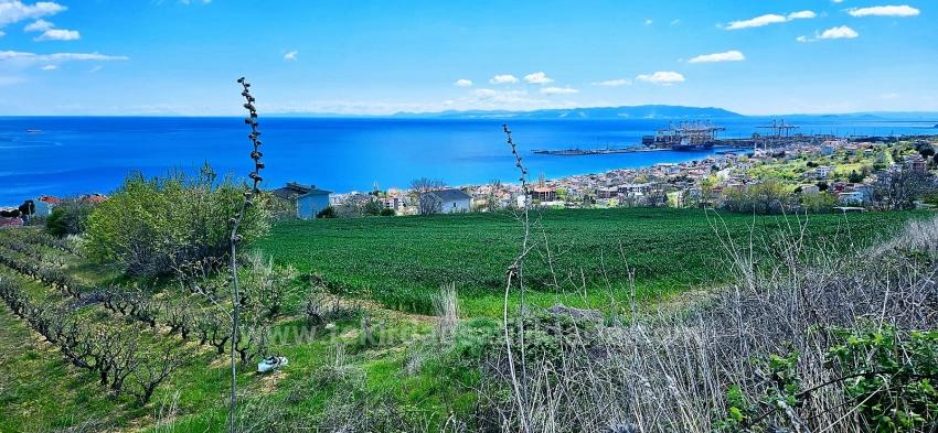 15 Luxury Villas With Unique Full Sea And Nature Views, Located In A Suitable Area For The Project