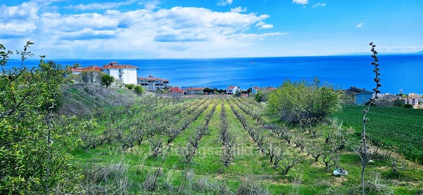 45 2+1 Apartments With Unique Full Sea And Nature Views, Suitable For Cooperative Projects