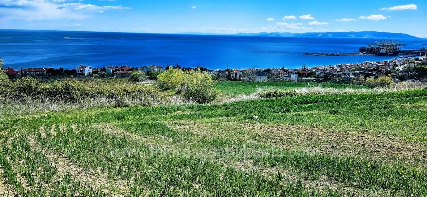 15 Luxury Villas With Unique Full Sea And Nature Views, Located In A Suitable Area For The Project