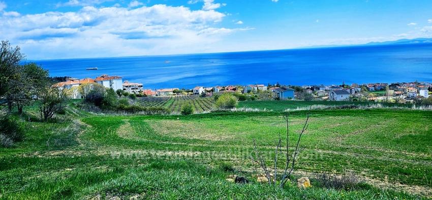 45 2+1 Apartments With Unique Full Sea And Nature Views, Suitable For Cooperative Projects