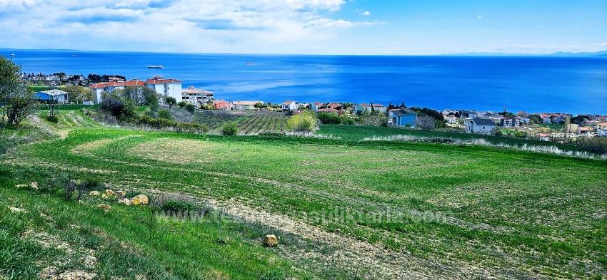 15 Luxury Villas With Unique Full Sea And Nature Views, Located In A Suitable Area For The Project