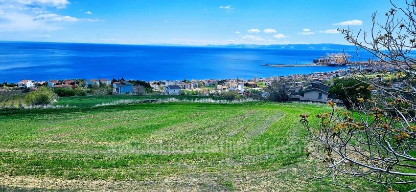 15 Luxury Villas With Unique Full Sea And Nature Views, Located In A Suitable Area For The Project