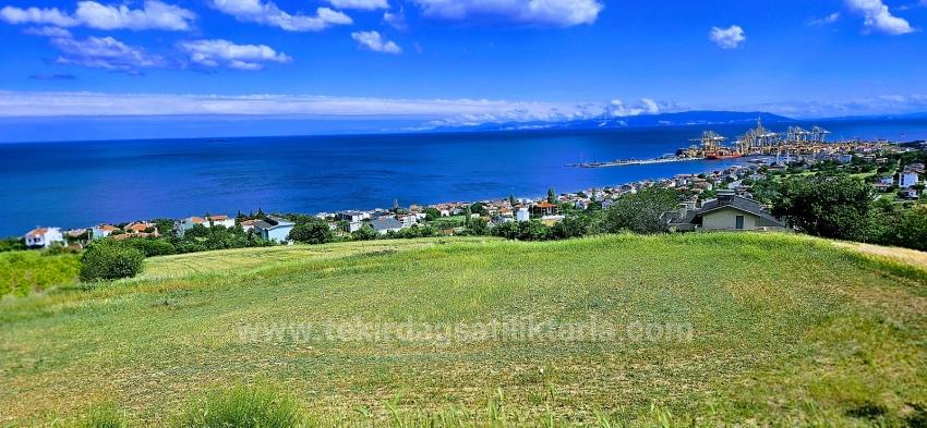 45 2+1 Apartments With Unique Full Sea And Nature Views, Suitable For Cooperative Projects