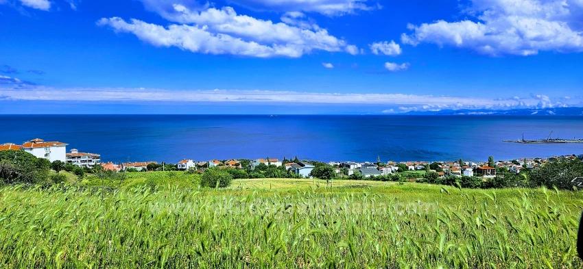 15 Luxury Villas With Unique Full Sea And Nature Views, Located In A Suitable Area For The Project