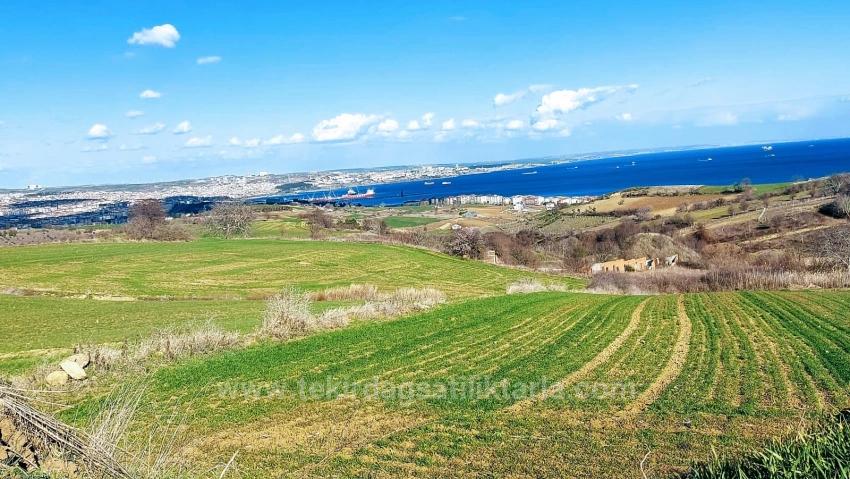 Land Suitable For 8 Villa Projects With Full Sea And Nature Views In Tekirdağ Barbarosta