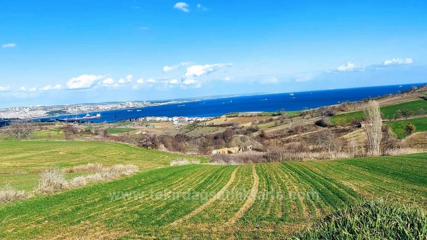 Land Suitable For 8 Villa Projects With Full Sea And Nature Views In Tekirdağ Barbarosta