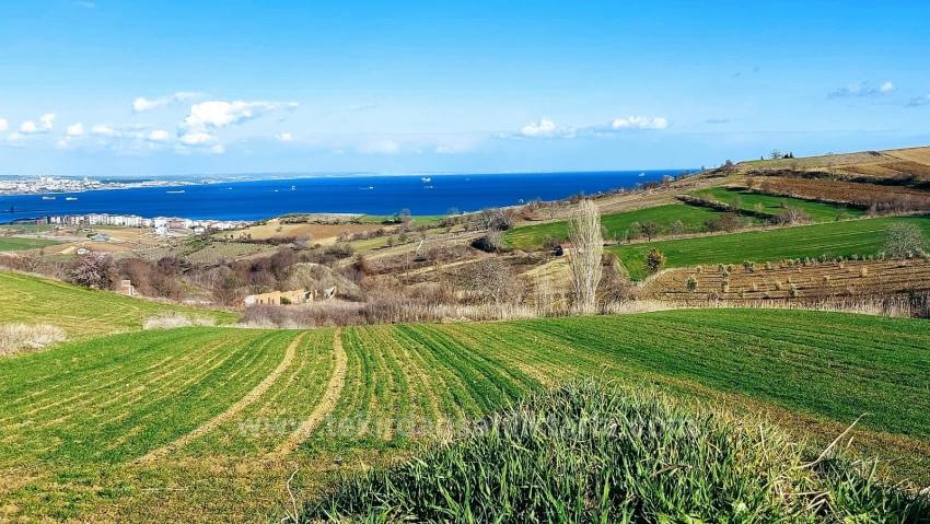 Land Suitable For 8 Villa Projects With Full Sea And Nature Views In Tekirdağ Barbarosta