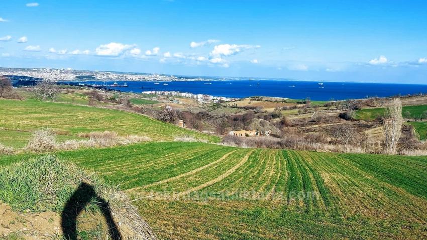 Land Suitable For 8 Villa Projects With Full Sea And Nature Views In Tekirdağ Barbarosta