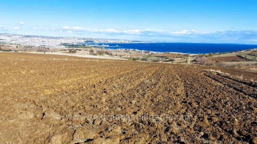 Land For Urgent Sale Suitable For 12 Villa Projects With Magnificent Sea And Nature Views