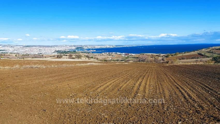 Land For Urgent Sale Suitable For 12 Villa Projects With Magnificent Sea And Nature Views