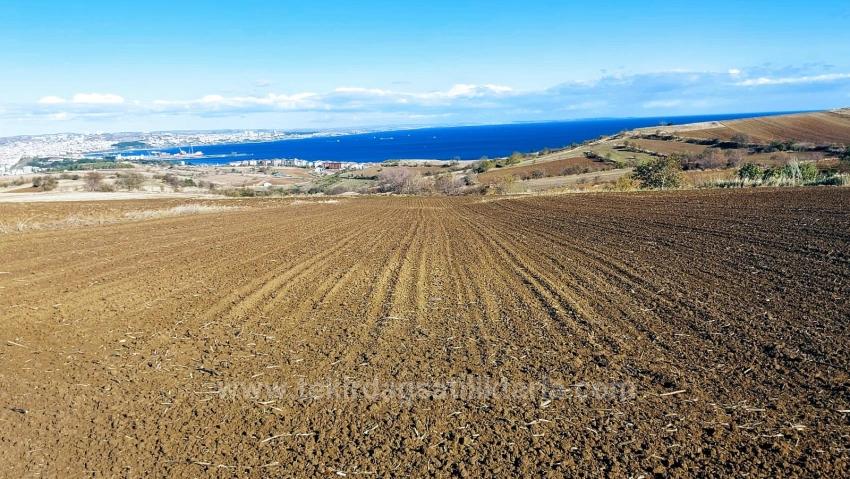 Land For Urgent Sale Suitable For 12 Villa Projects With Magnificent Sea And Nature Views
