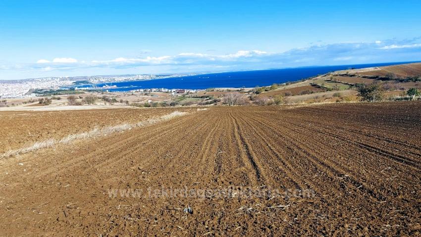 Land For Urgent Sale Suitable For 12 Villa Projects With Magnificent Sea And Nature Views