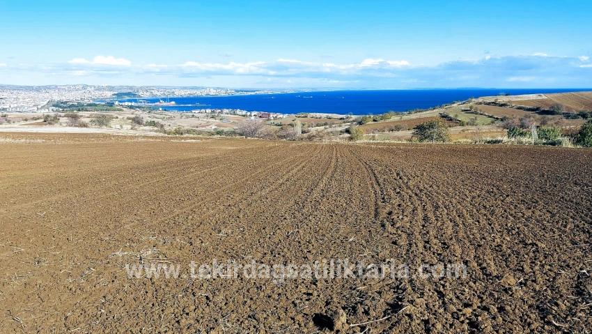 Terrain For sale in Barbaros Nbh. Süleymanpaşa Kumbağ - Villa Zoned - 6.350 m²