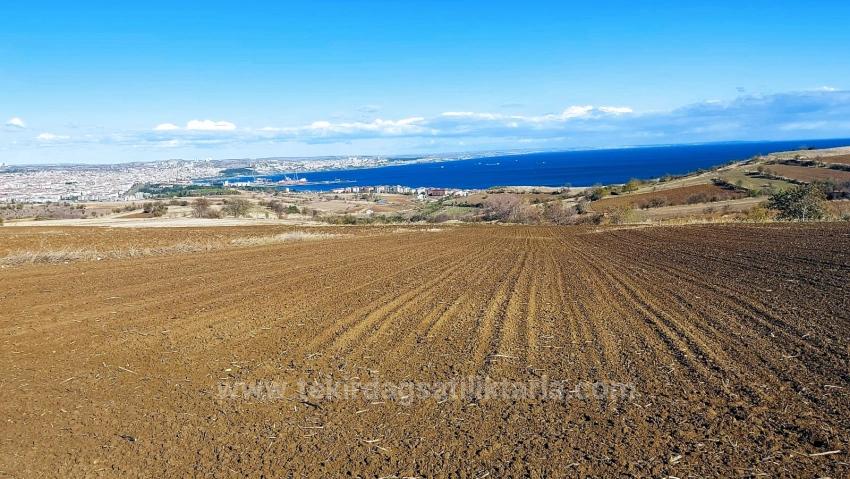 Land For Urgent Sale Suitable For 12 Villa Projects With Magnificent Sea And Nature Views