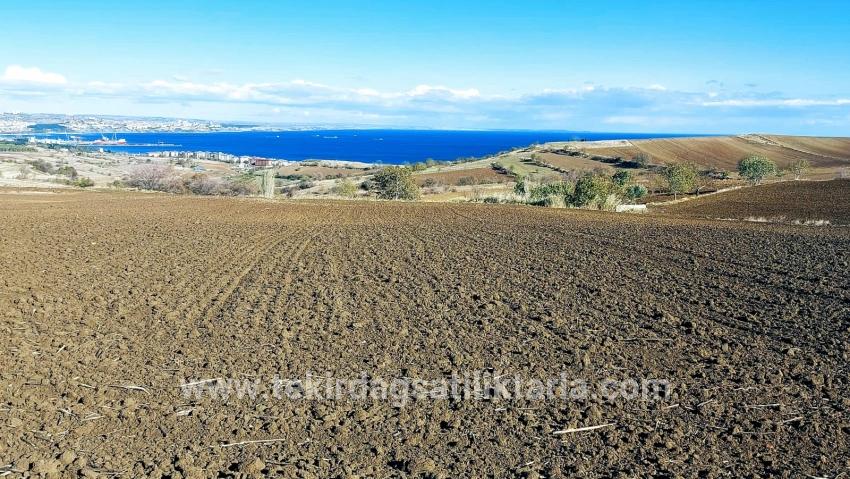 Terrain For sale in Barbaros Nbh. Süleymanpaşa Kumbağ - Villa Zoned - 6.350 m²