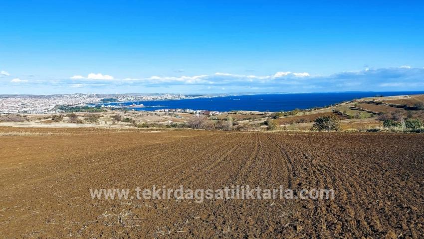Terrain For sale in Barbaros Nbh. Süleymanpaşa Kumbağ - Villa Zoned - 6.350 m²