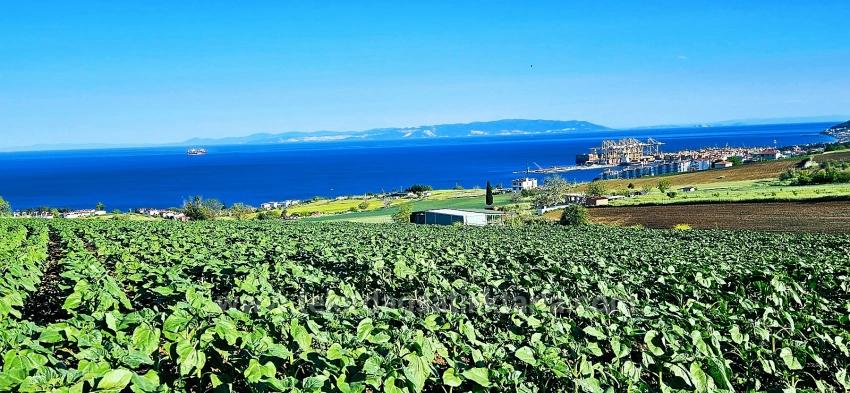 Land Suitable For Cooperative And Site Projects With 50 Apartments And Full Sea And Nature Views