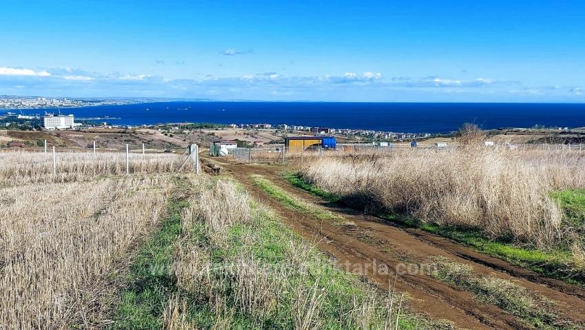 Apply Emergency Hourly Luxury Villa Project, Provide High Earnings, Completely Full Sea And Nature View