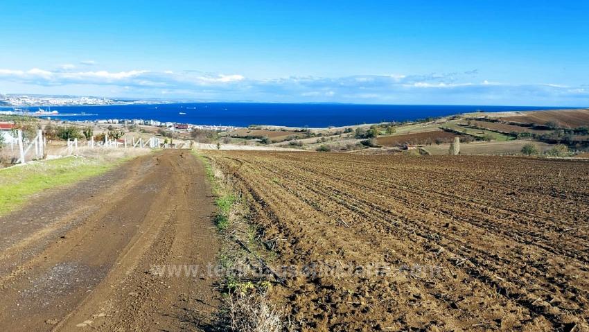 32 Luxury Villas With Great Sea, Nature And City Views, Opportunity Land Suitable For The Project