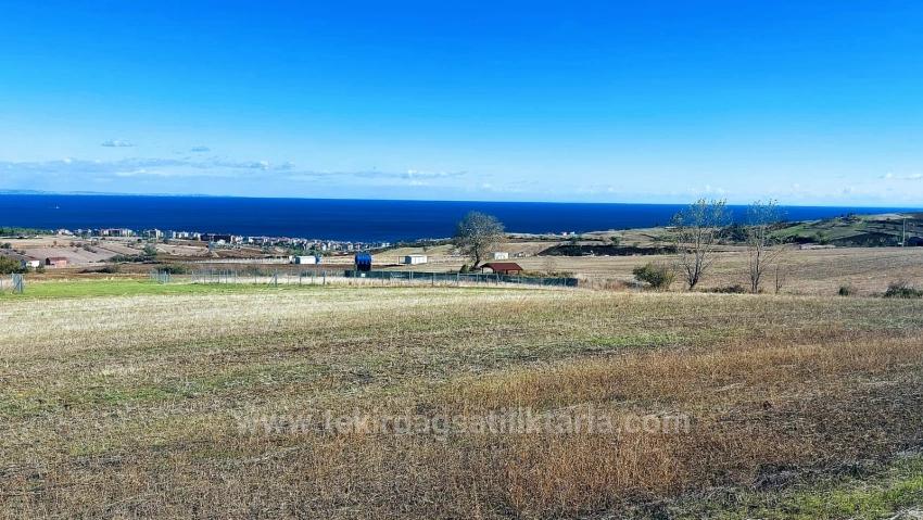 32 Luxury Villas With Great Sea, Nature And City Views, Opportunity Land Suitable For The Project