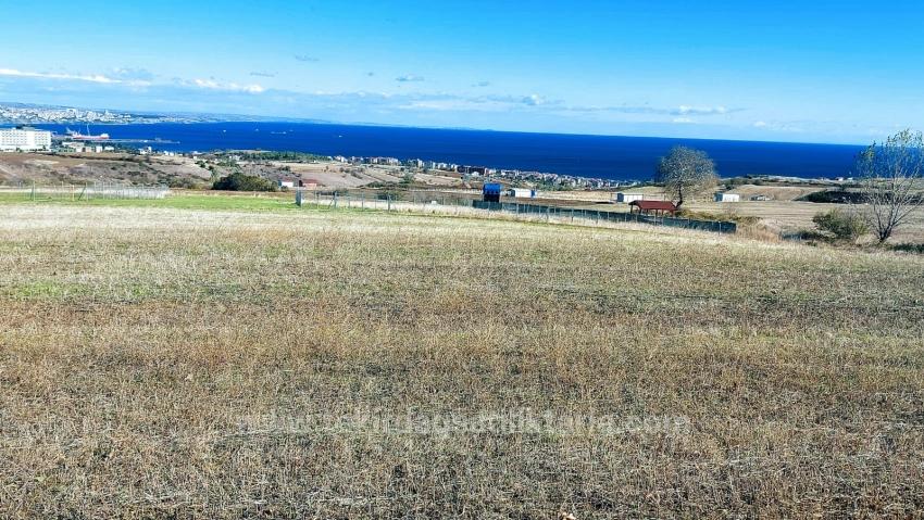 32 Luxury Villas With Great Sea, Nature And City Views, Opportunity Land Suitable For The Project