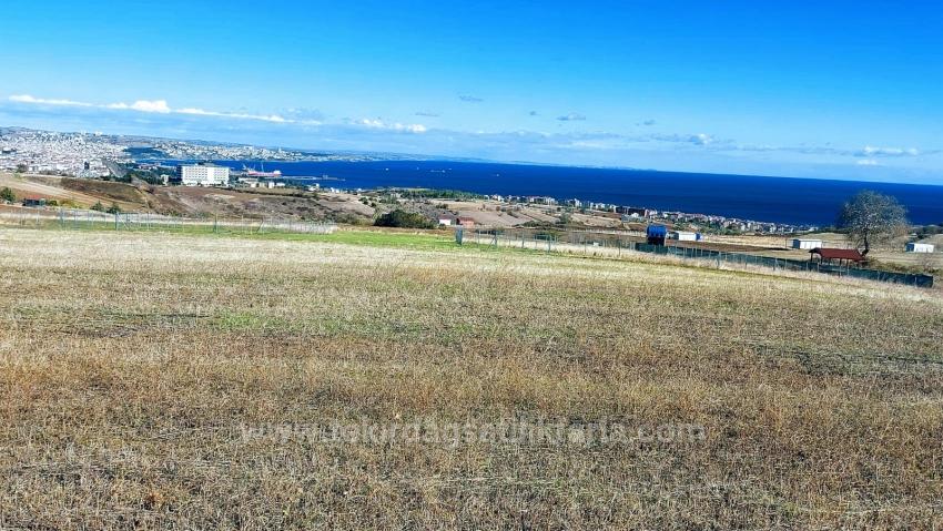 32 Luxury Villas With Great Sea, Nature And City Views, Opportunity Land Suitable For The Project