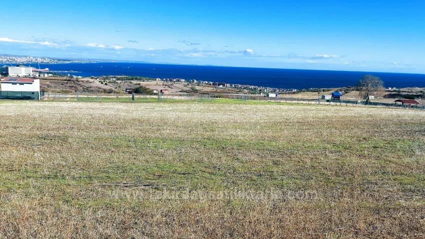 32 Luxury Villas With Great Sea, Nature And City Views, Opportunity Land Suitable For The Project