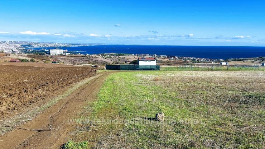 Apply Emergency Hourly Luxury Villa Project, Provide High Earnings, Completely Full Sea And Nature View