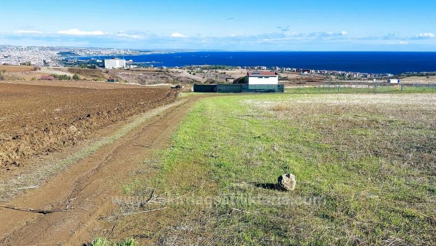 Apply Emergency Hourly Luxury Villa Project, Provide High Earnings, Completely Full Sea And Nature View