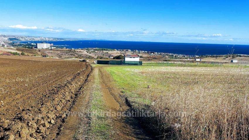 32 Luxury Villas With Great Sea, Nature And City Views, Opportunity Land Suitable For The Project