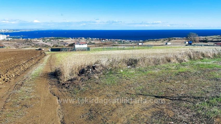 Apply Emergency Hourly Luxury Villa Project, Provide High Earnings, Completely Full Sea And Nature View